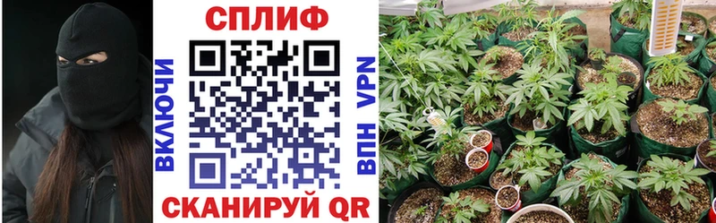 Хочу наркоту Берёзовка APVP  Героин  ссылка на мегу сайт  Меф  Марихуана 