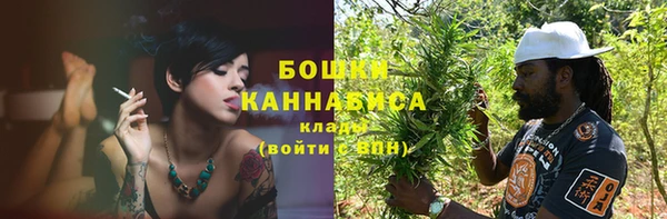 стафф Надым