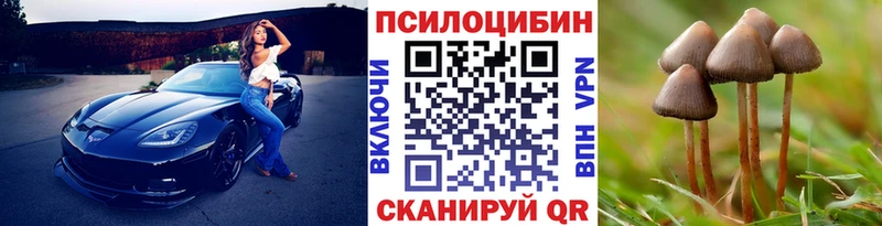 купить закладку  Берёзовка  Галлюциногенные грибы Cubensis 